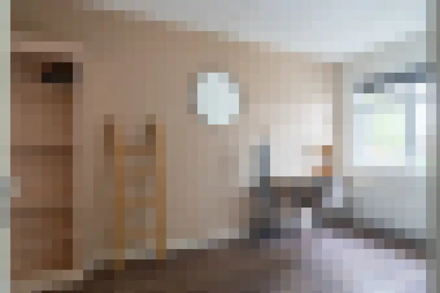van Vessemstraat 23 Waalwijk thumbnail 16