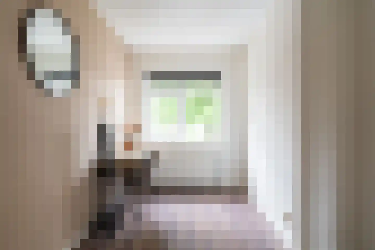 van Vessemstraat 23 Waalwijk thumbnail 17