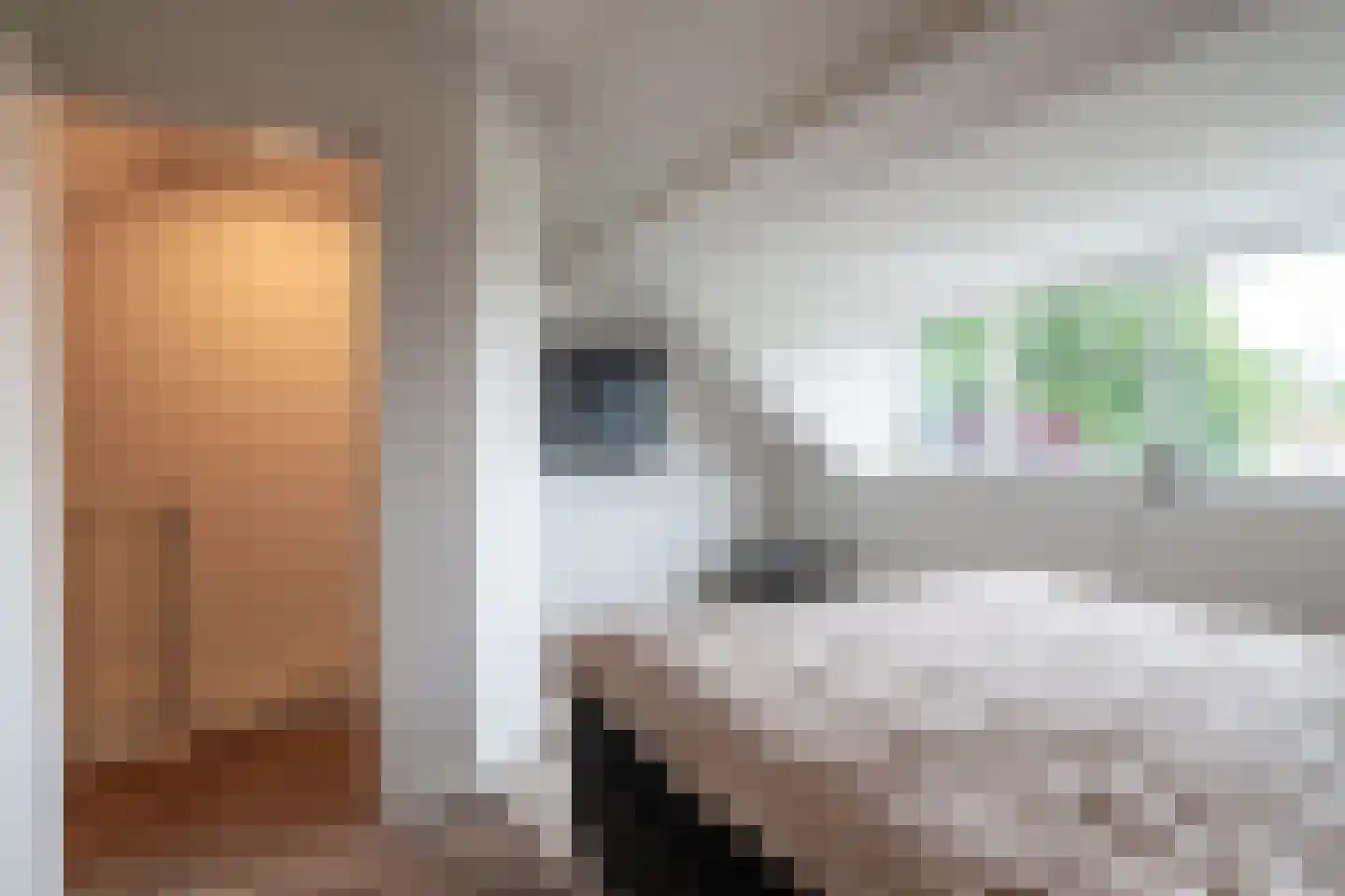 van Vessemstraat 23 Waalwijk thumbnail 26