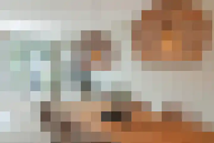 van Vessemstraat 5 Waalwijk thumbnail 10