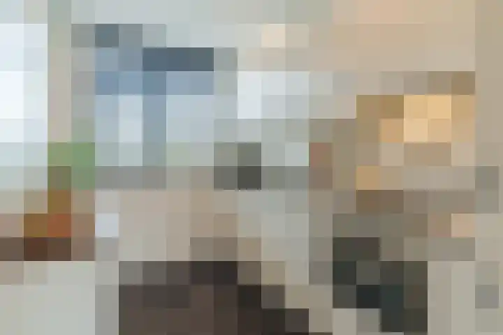 van Vessemstraat 5 Waalwijk thumbnail 13