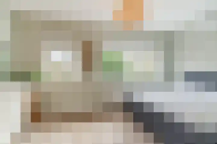 van Vessemstraat 5 Waalwijk thumbnail 18