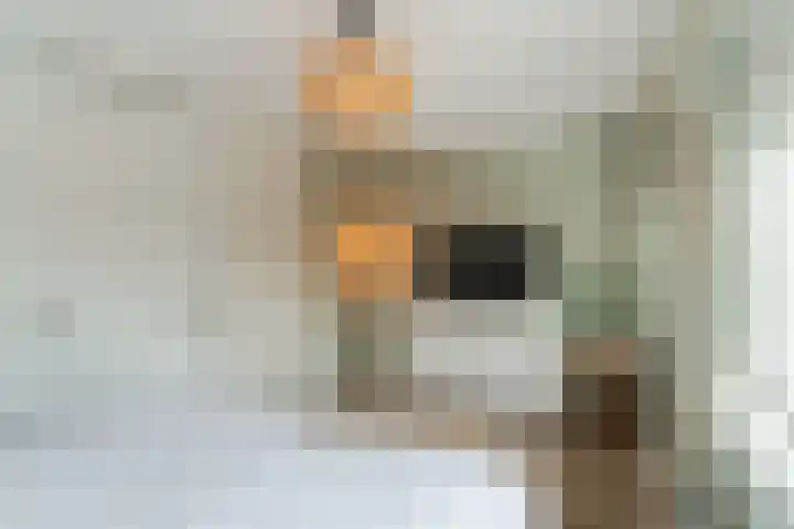van Vessemstraat 5 Waalwijk thumbnail 20