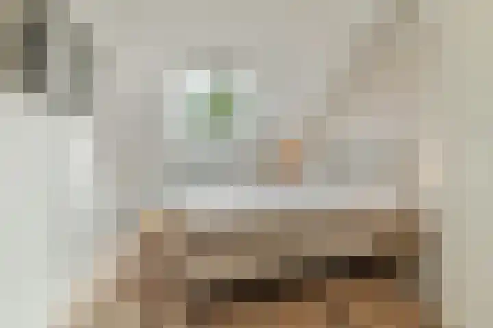 van Vessemstraat 5 Waalwijk thumbnail 32