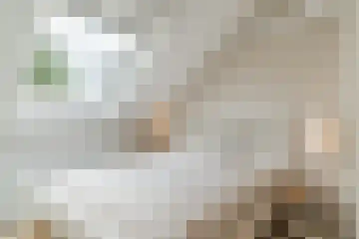 van Vessemstraat 5 Waalwijk thumbnail 33