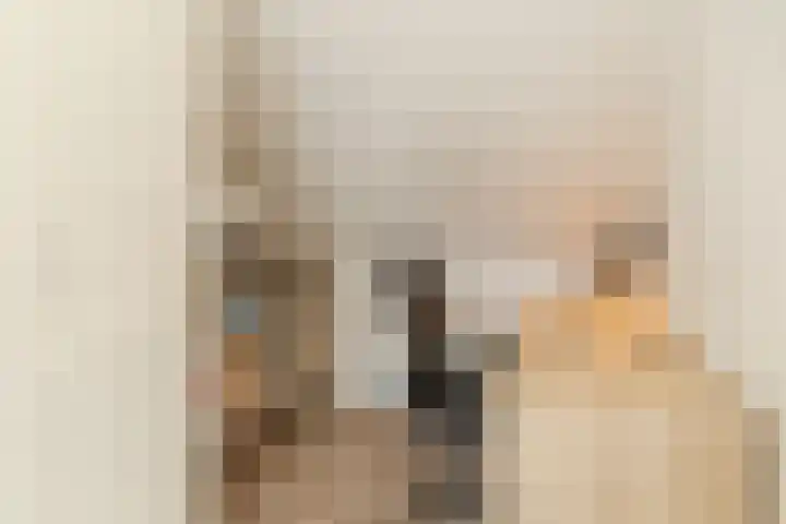 van Vessemstraat 5 Waalwijk thumbnail 36