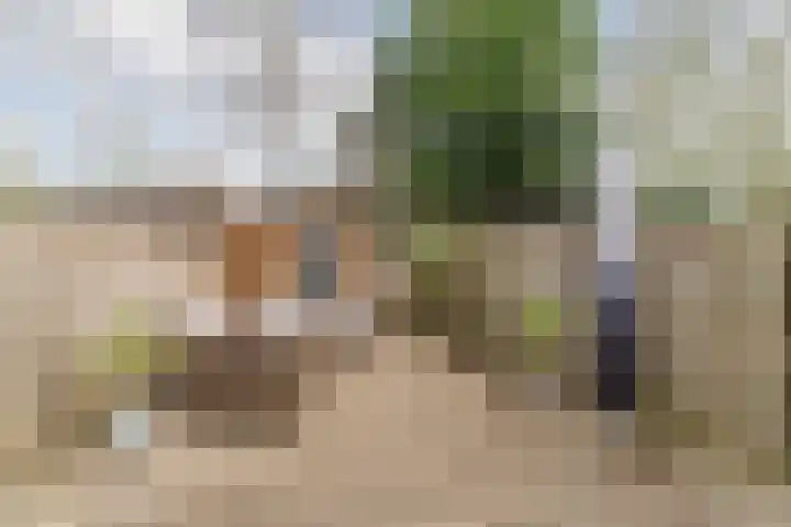 van Vessemstraat 5 Waalwijk thumbnail 37