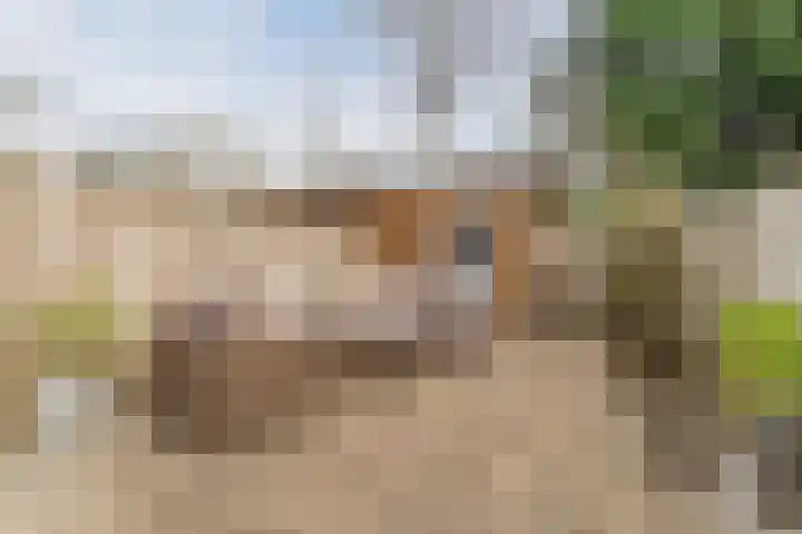 van Vessemstraat 5 Waalwijk thumbnail 38