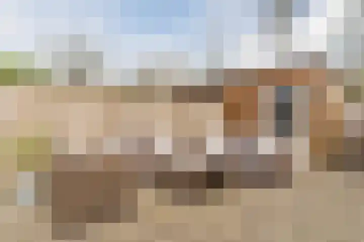 van Vessemstraat 5 Waalwijk thumbnail 39
