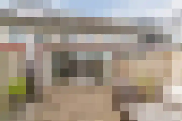 van Vessemstraat 5 Waalwijk thumbnail 42
