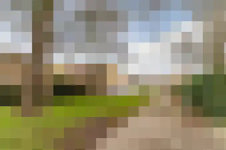van Vessemstraat 5 Waalwijk thumbnail 47