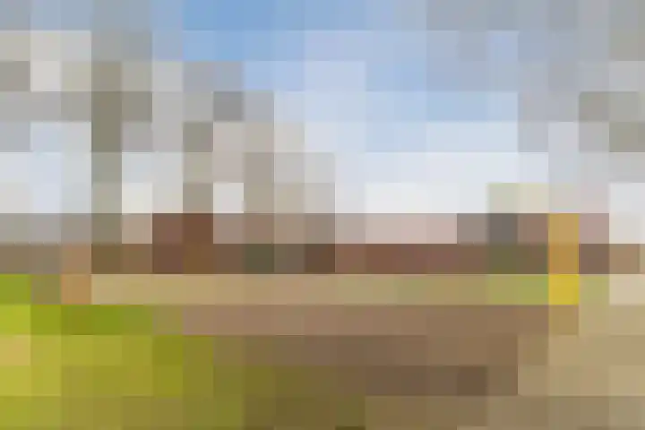 van Vessemstraat 5 Waalwijk thumbnail 48