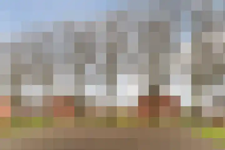 van Vessemstraat 5 Waalwijk thumbnail 49