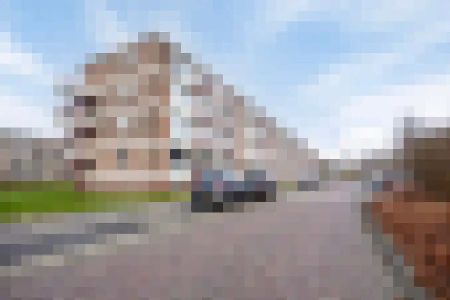 van Viandenstraat 79 Vlaardingen