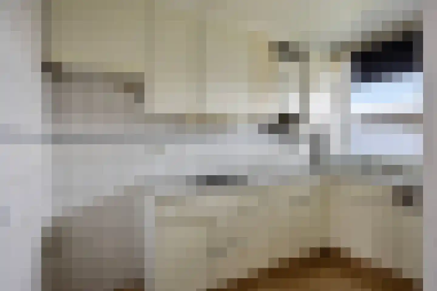 van Viandenstraat 79 Vlaardingen thumbnail 17