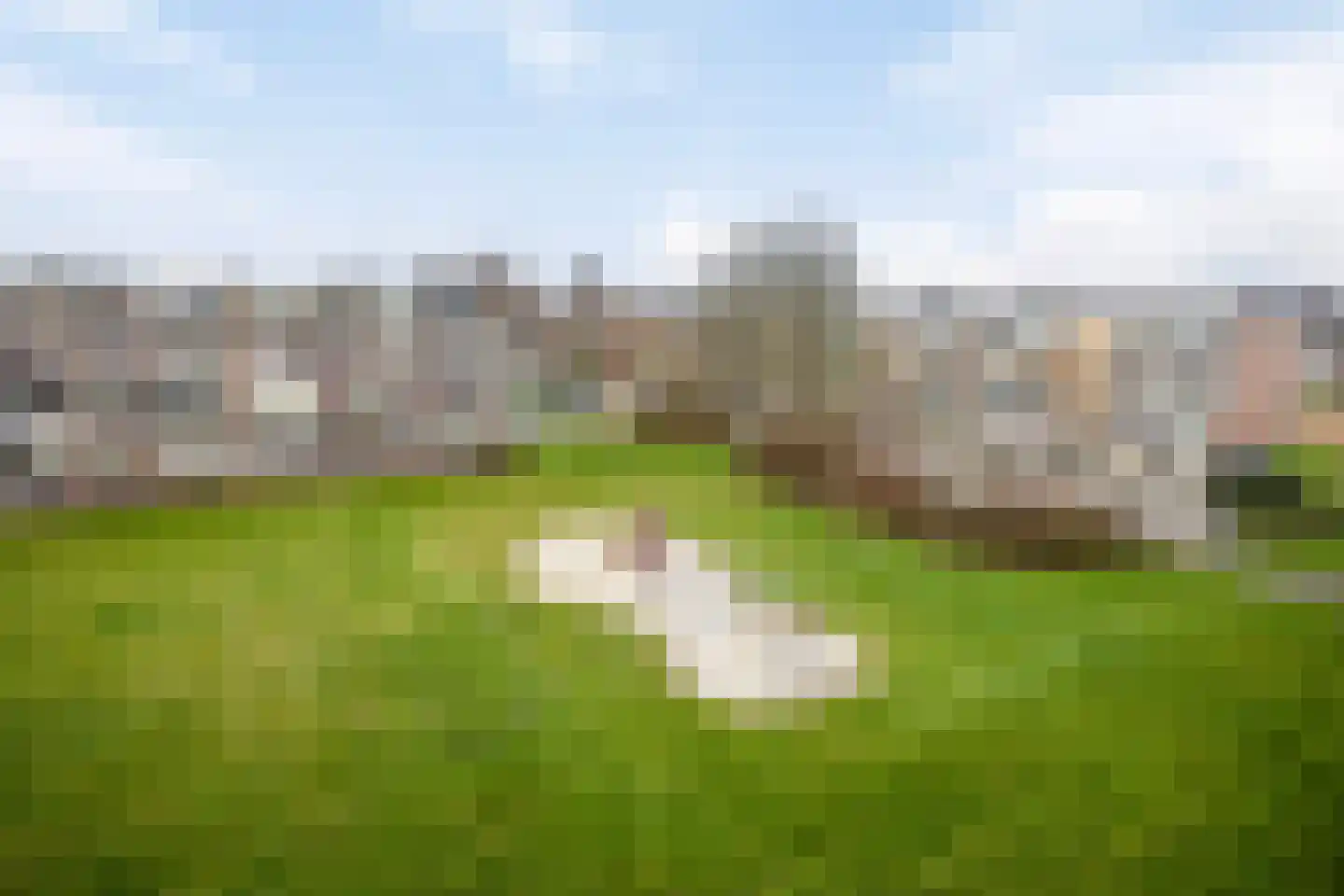 van Viandenstraat 79 Vlaardingen thumbnail 28