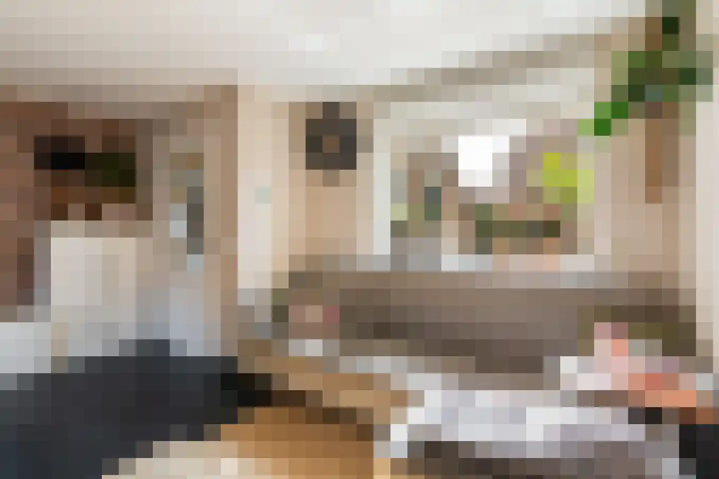 Van Vianenhof 12 Jaarsveld thumbnail 10