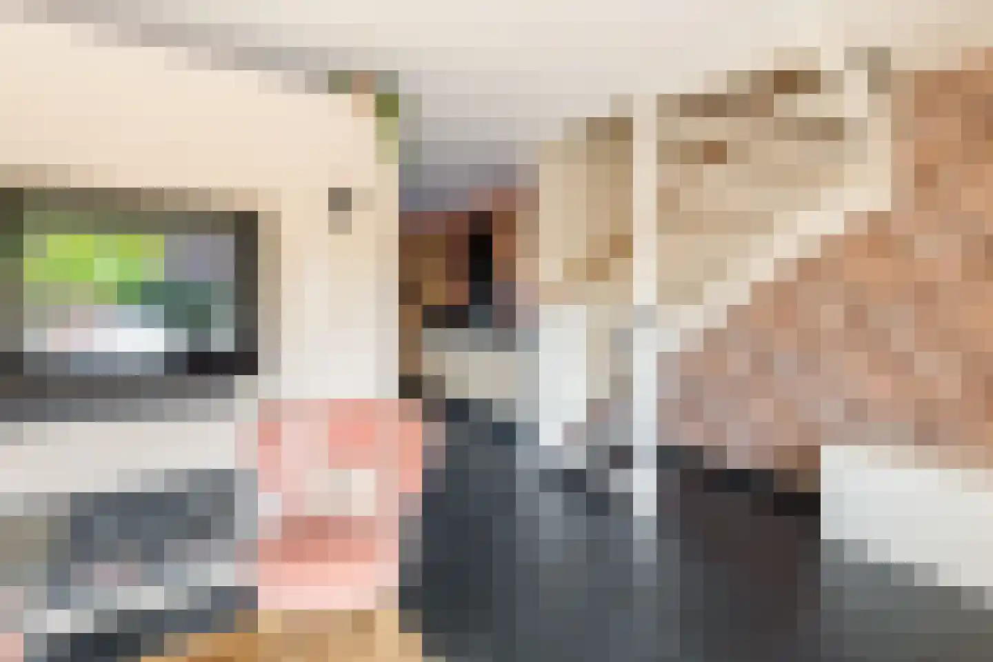 Van Vianenhof 12 Jaarsveld thumbnail 12