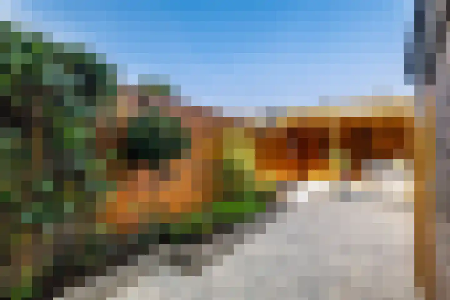 Van Vianenhof 12 Jaarsveld thumbnail 19