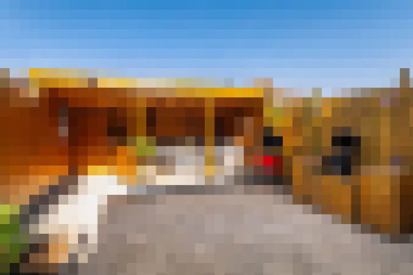 Van Vianenhof 12 Jaarsveld thumbnail 21