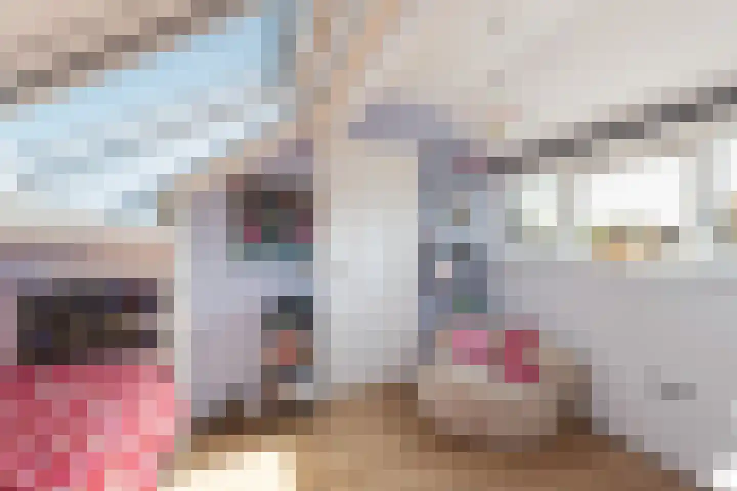Van Vianenhof 12 Jaarsveld thumbnail 31