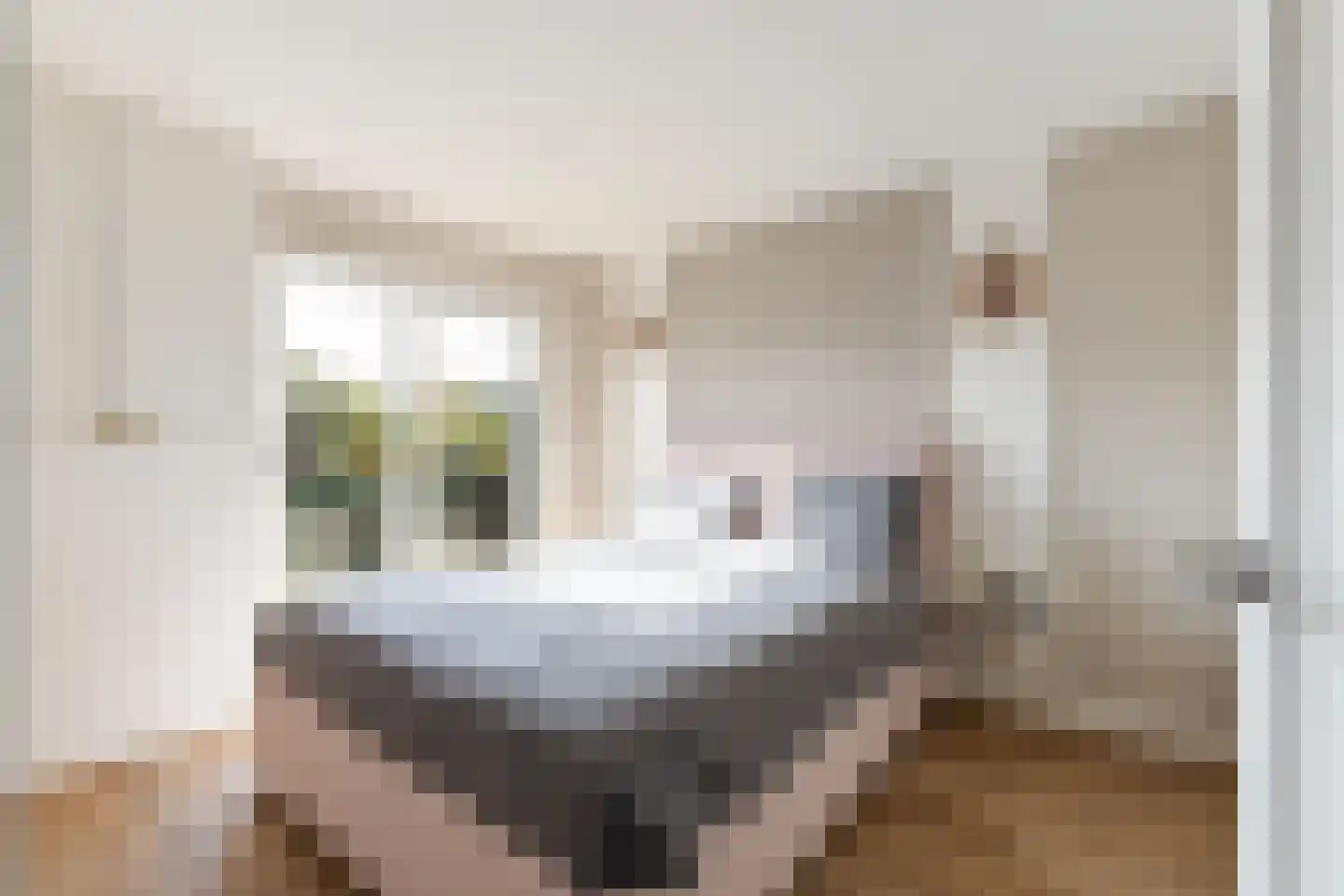 Van Vianenhof 12 Jaarsveld thumbnail 32