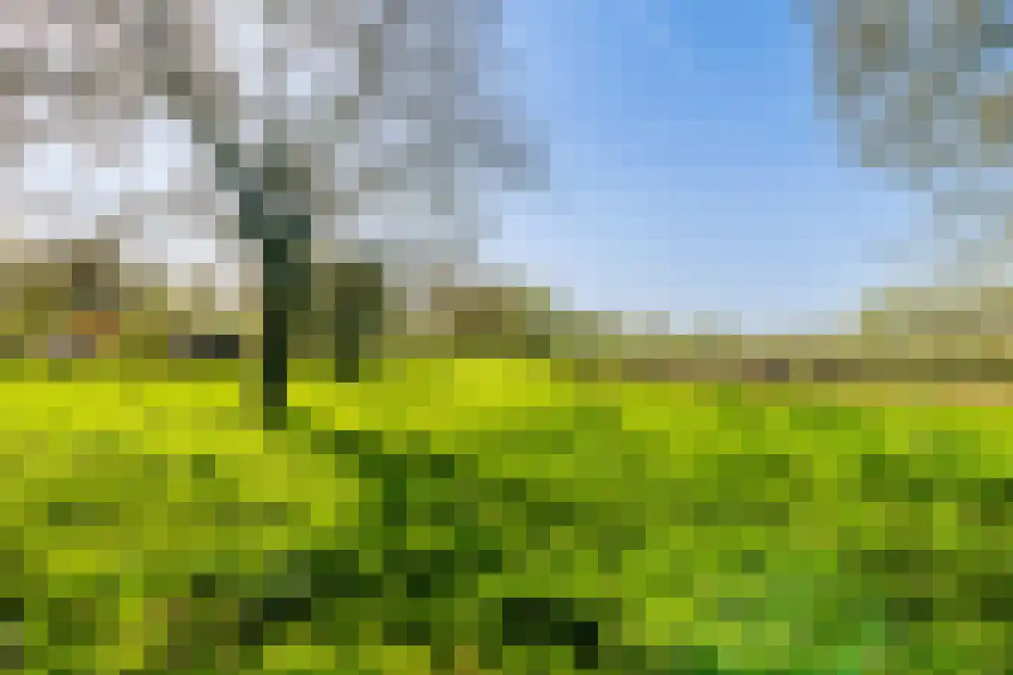 Van Vianenhof 12 Jaarsveld thumbnail 40