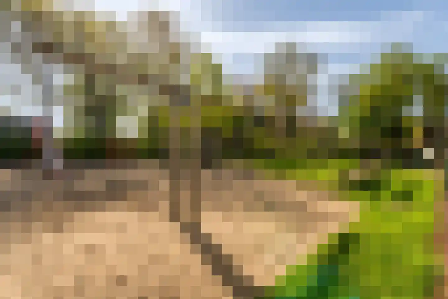 Van Vianenhof 12 Jaarsveld thumbnail 41
