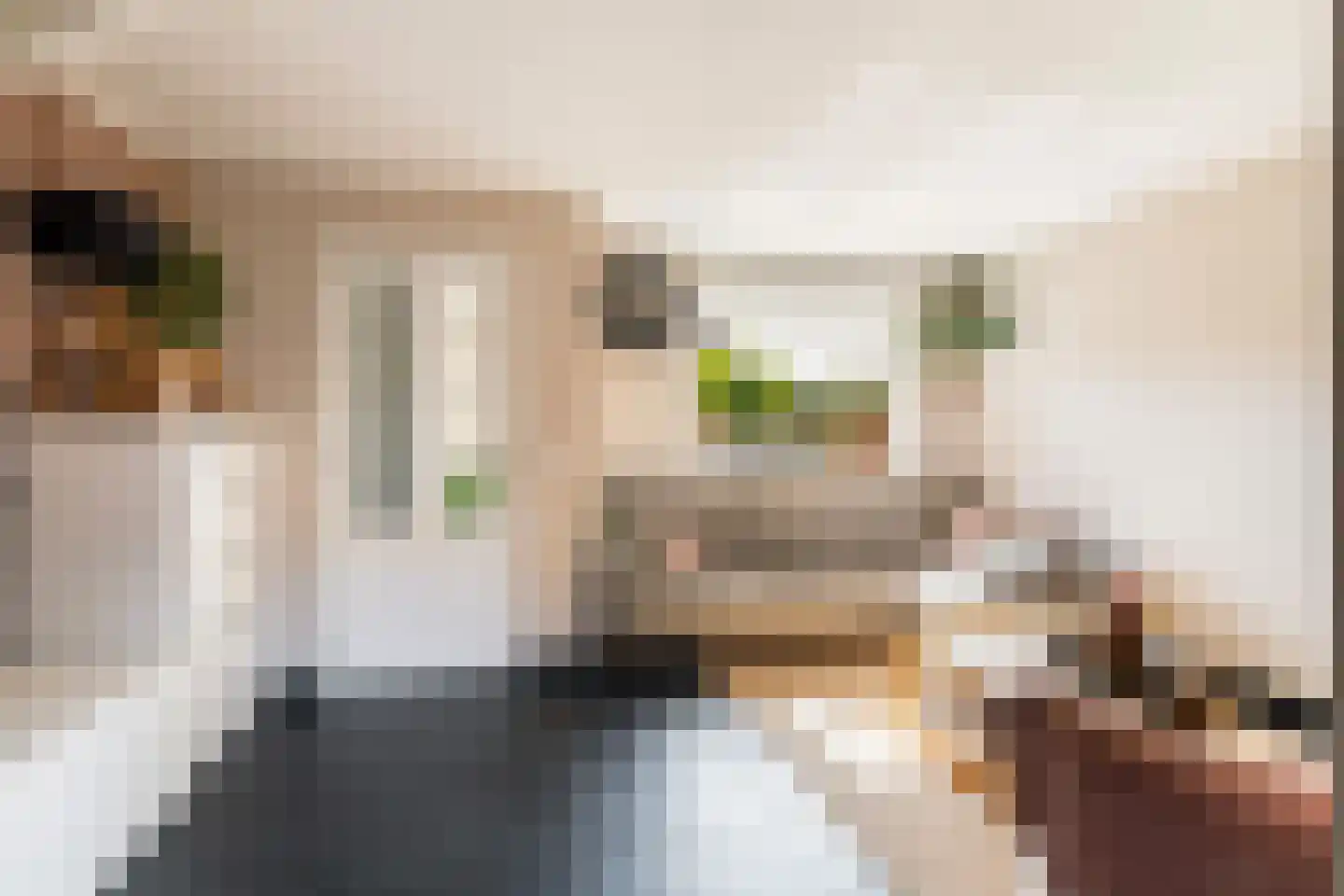 Van Vianenhof 12 Jaarsveld thumbnail 9