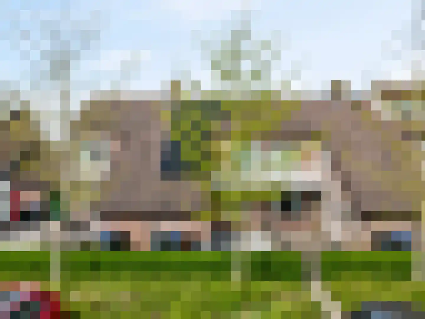 Van Vianenhof 6 dans Jaarsveld