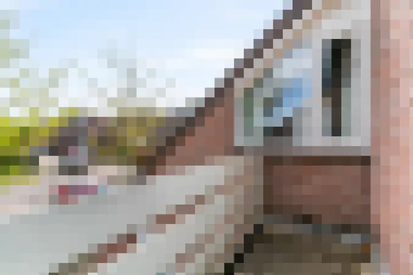 Van Vianenhof 6 Jaarsveld thumbnail 20