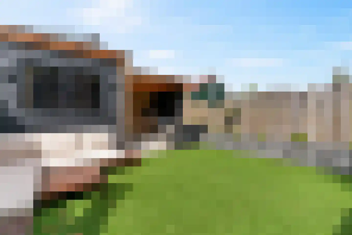 Van Vianenhof 6 Jaarsveld thumbnail 37