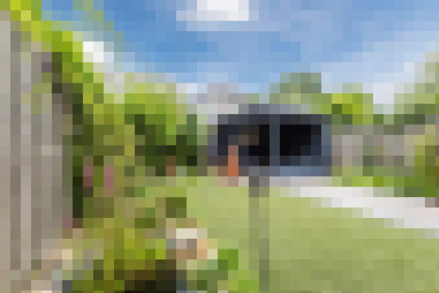 Van Vianenhof 9 Jaarsveld thumbnail 4