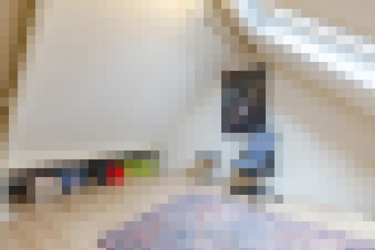 Van Vianenhof 9 Jaarsveld thumbnail 41