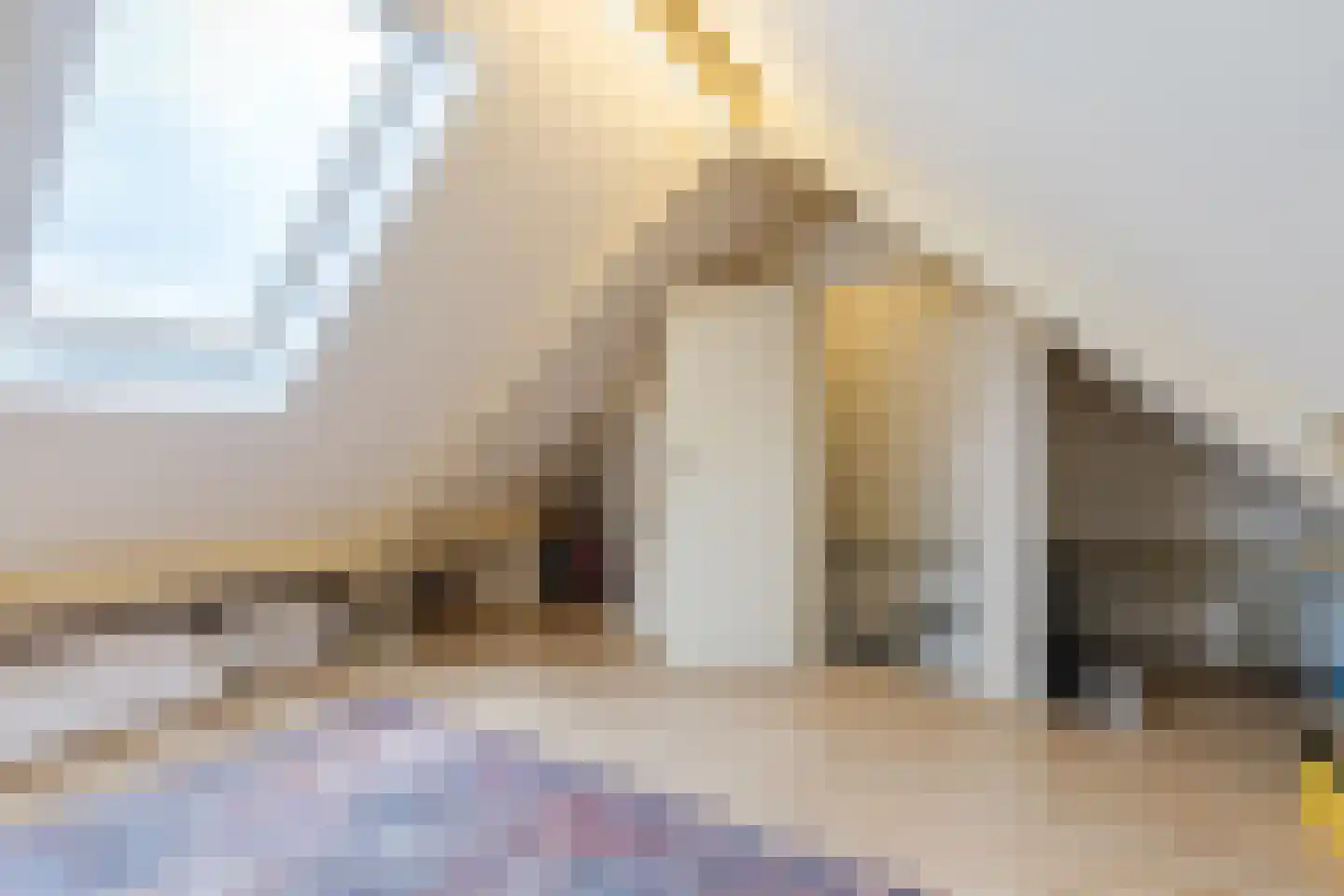 Van Vianenhof 9 Jaarsveld thumbnail 42