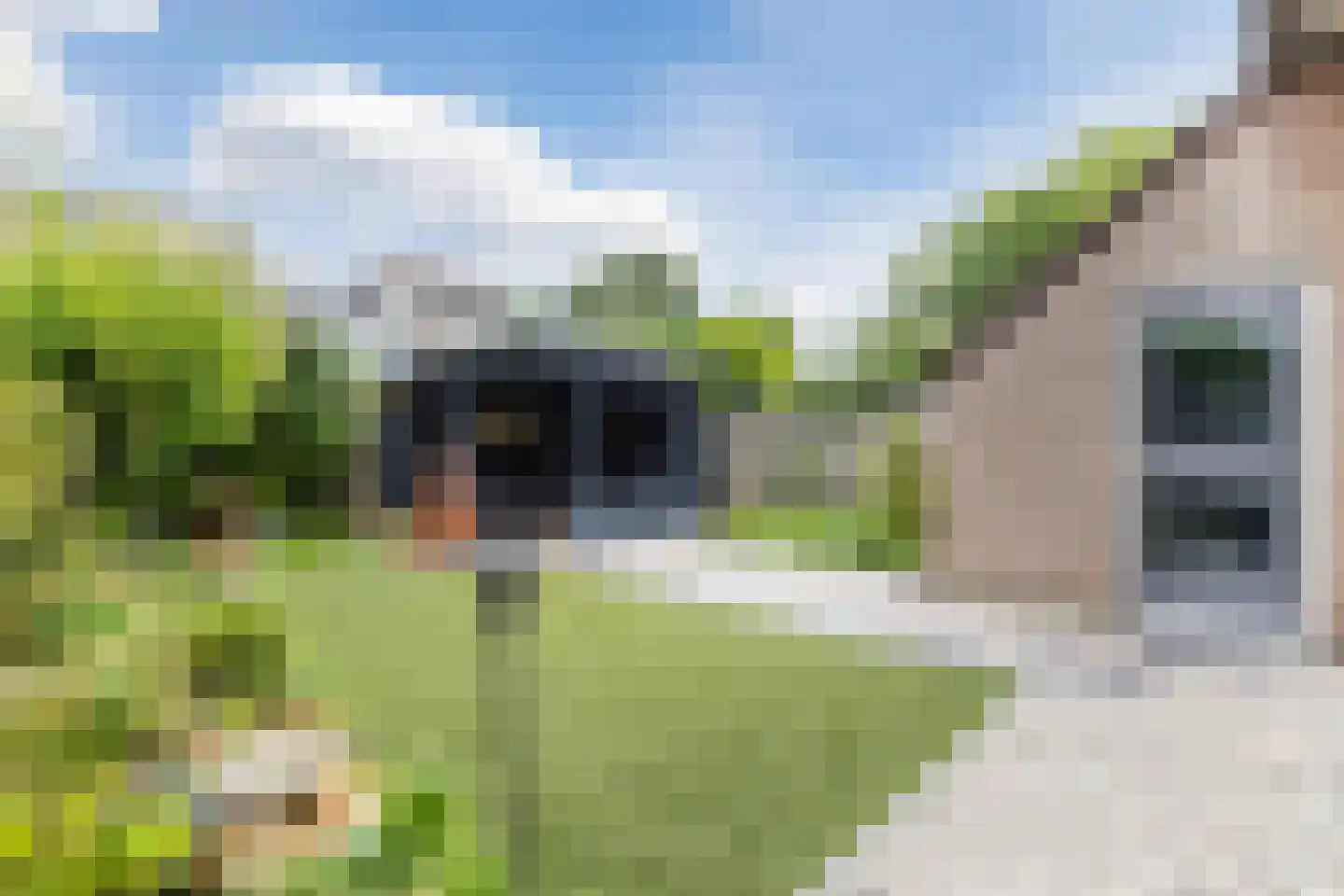 Van Vianenhof 9 Jaarsveld thumbnail 48