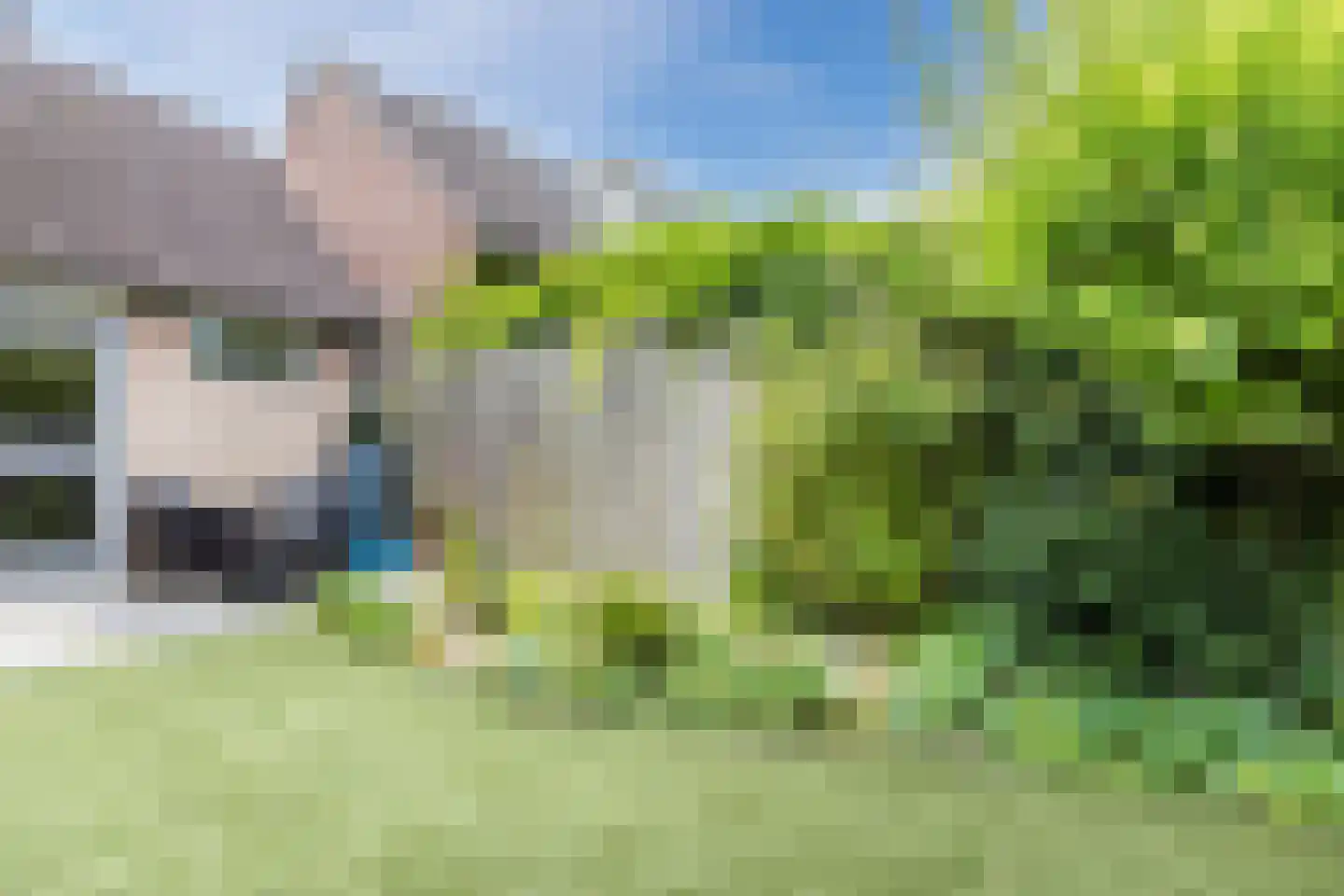 Van Vianenhof 9 Jaarsveld thumbnail 49