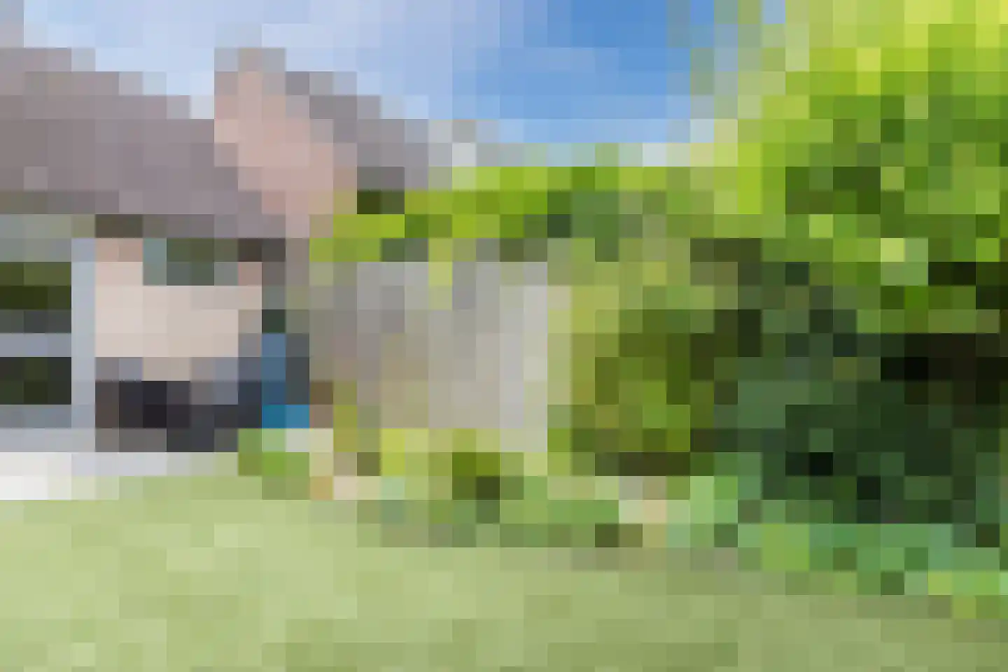 Van Vianenhof 9 Jaarsveld thumbnail 13