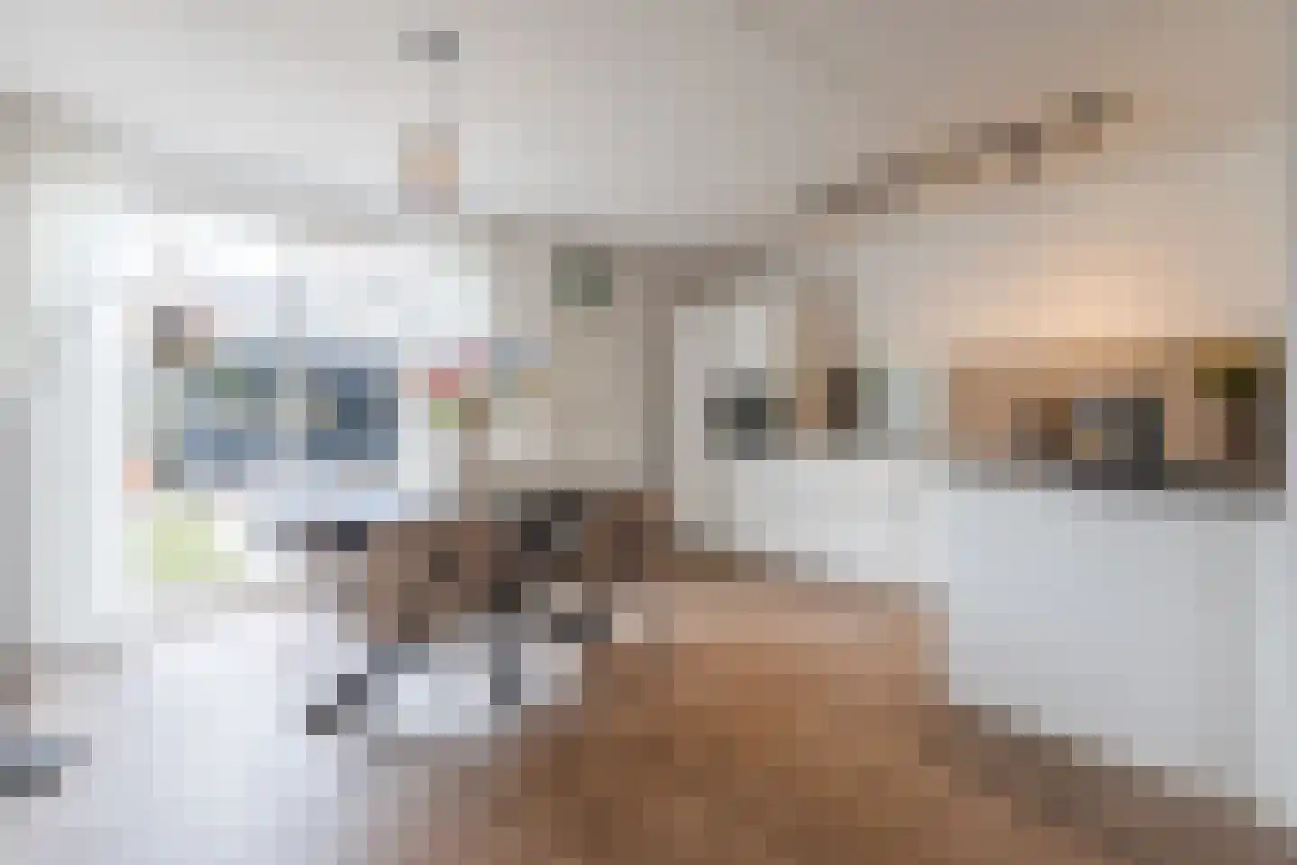 Van Vianenhof 9 Jaarsveld thumbnail 5