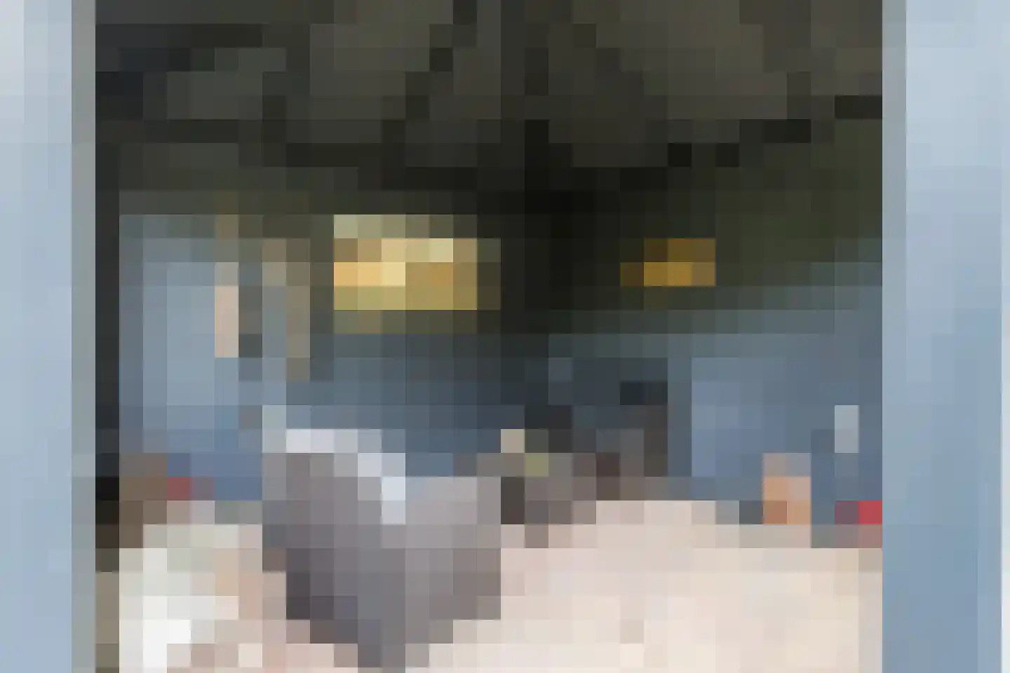 Van Vianenhof 9 Jaarsveld thumbnail 51