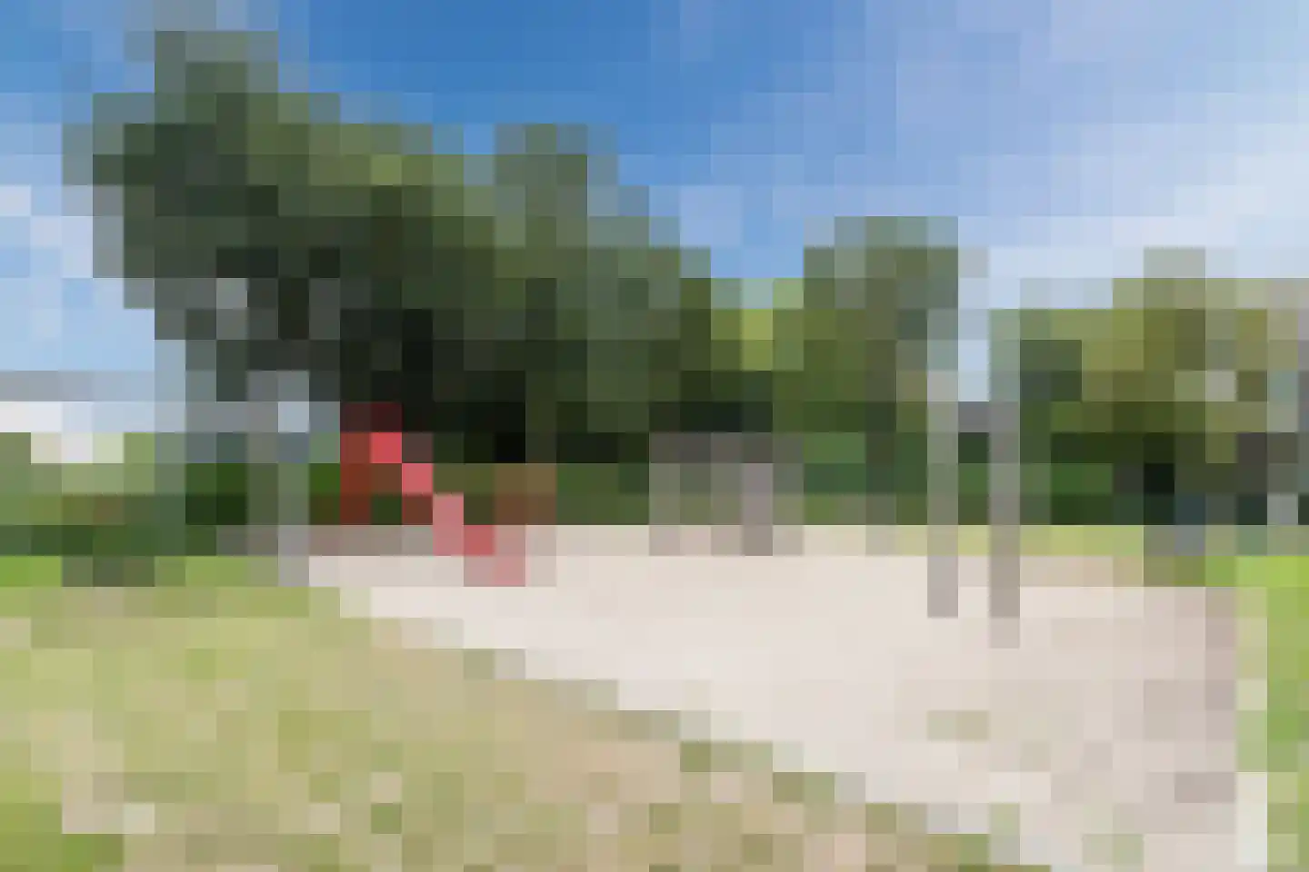 Van Vianenhof 9 Jaarsveld thumbnail 57