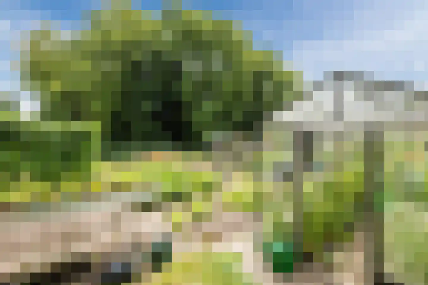 Van Vianenhof 9 Jaarsveld thumbnail 58
