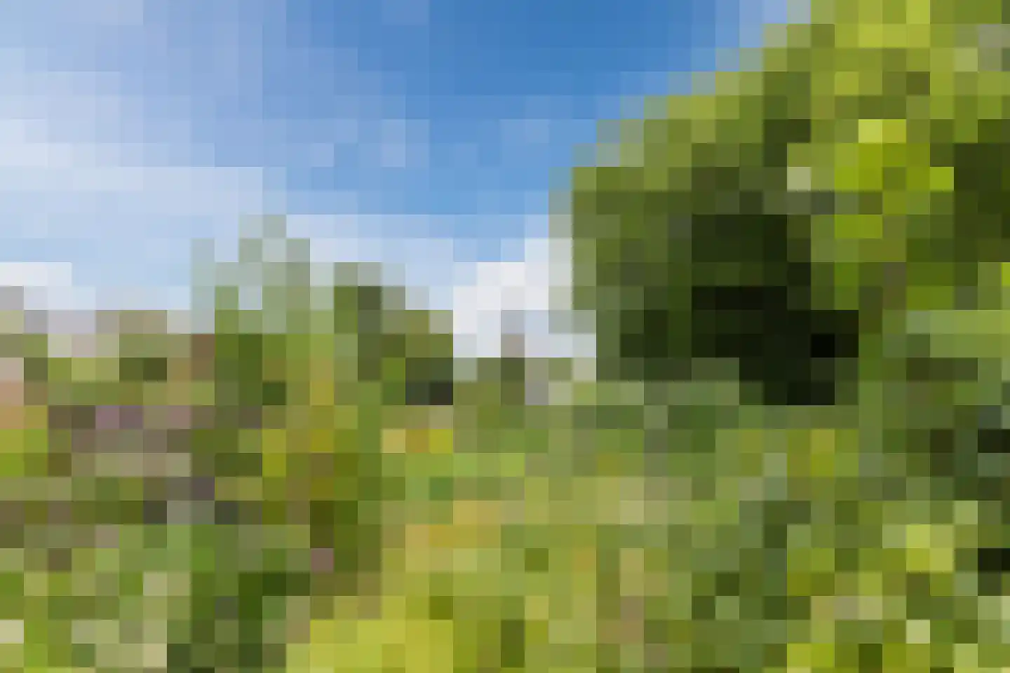 Van Vianenhof 9 Jaarsveld thumbnail 59