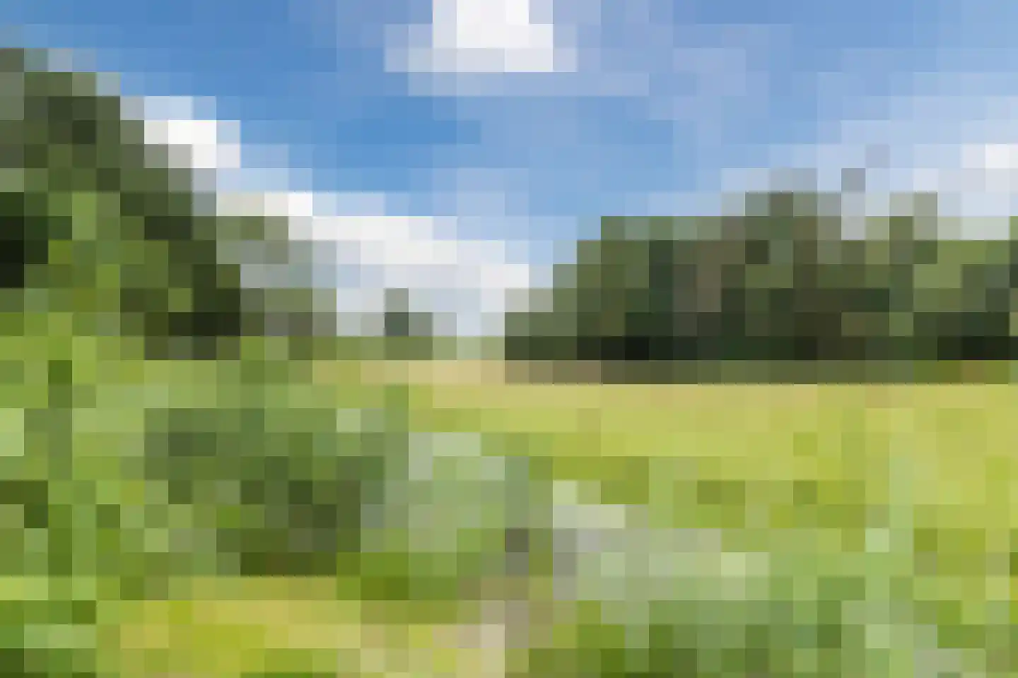Van Vianenhof 9 Jaarsveld thumbnail 60