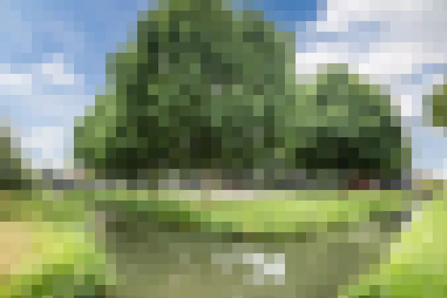 Van Vianenhof 9 Jaarsveld thumbnail 61