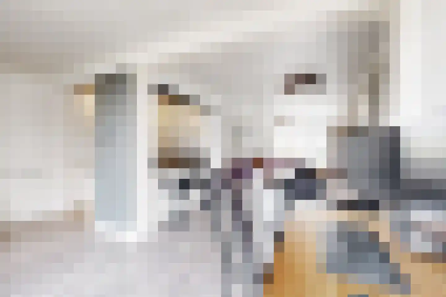 Van Vlaanderenstraat 41 Klundert thumbnail 26
