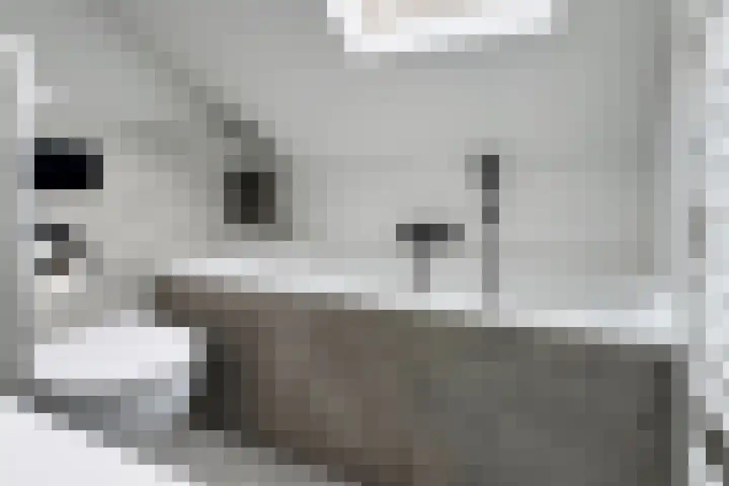 Van Vlaanderenstraat 41 Klundert thumbnail 52