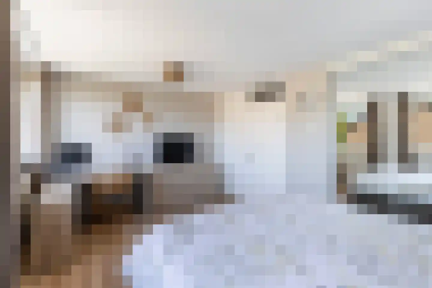 Van Vlaanderenstraat 55 Klundert thumbnail 27