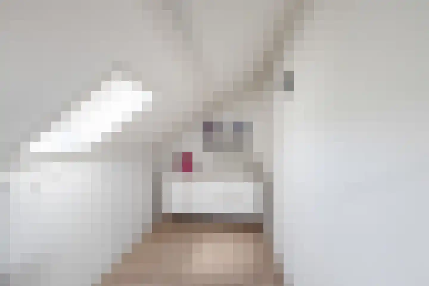 Van Vlaanderenstraat 55 Klundert thumbnail 36