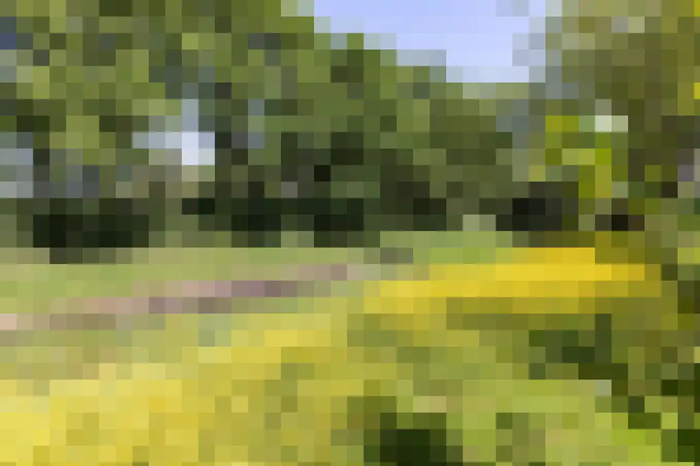 Van Vlaanderenstraat 55 Klundert thumbnail 51